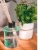 Difusor de Ambientes Giorno Casa 250ml