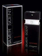 Silver Scent Intense Jacques Bogart Perfume Masculino Eau de Toilette 100ml