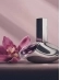 Euphoria Calvin Klein - Perfume Feminino Eau de Parfum 100ml