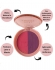 Blush Compacto Dual Cheeks Champagne e Peach Ruby Rose - Rosewood e Plum