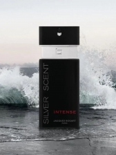 Silver Scent Intense Jacques Bogart Perfume Masculino Eau de Toilette 100ml
