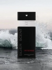 Silver Scent Intense Jacques Bogart Perfume Masculino Eau de Toilette 100ml