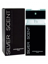 Silver Scent Jacques Bogart Perfume Masculino Eau de Toilette 100ml