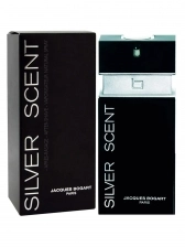 Silver Scent Jacques Bogart Perfume Masculino Eau de Toilette 100ml