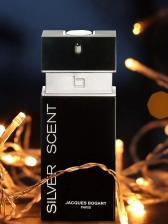 Silver Scent Jacques Bogart Perfume Masculino Eau de Toilette 100ml