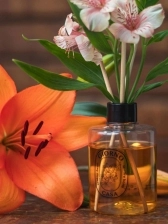 Difusor de Ambientes Giorno Casa 250ml