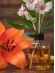 Difusor de Ambientes Giorno Casa 250ml