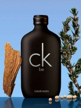 Ck Be Calvin Klein Perfume Unissex Eau de Toilette 100ml